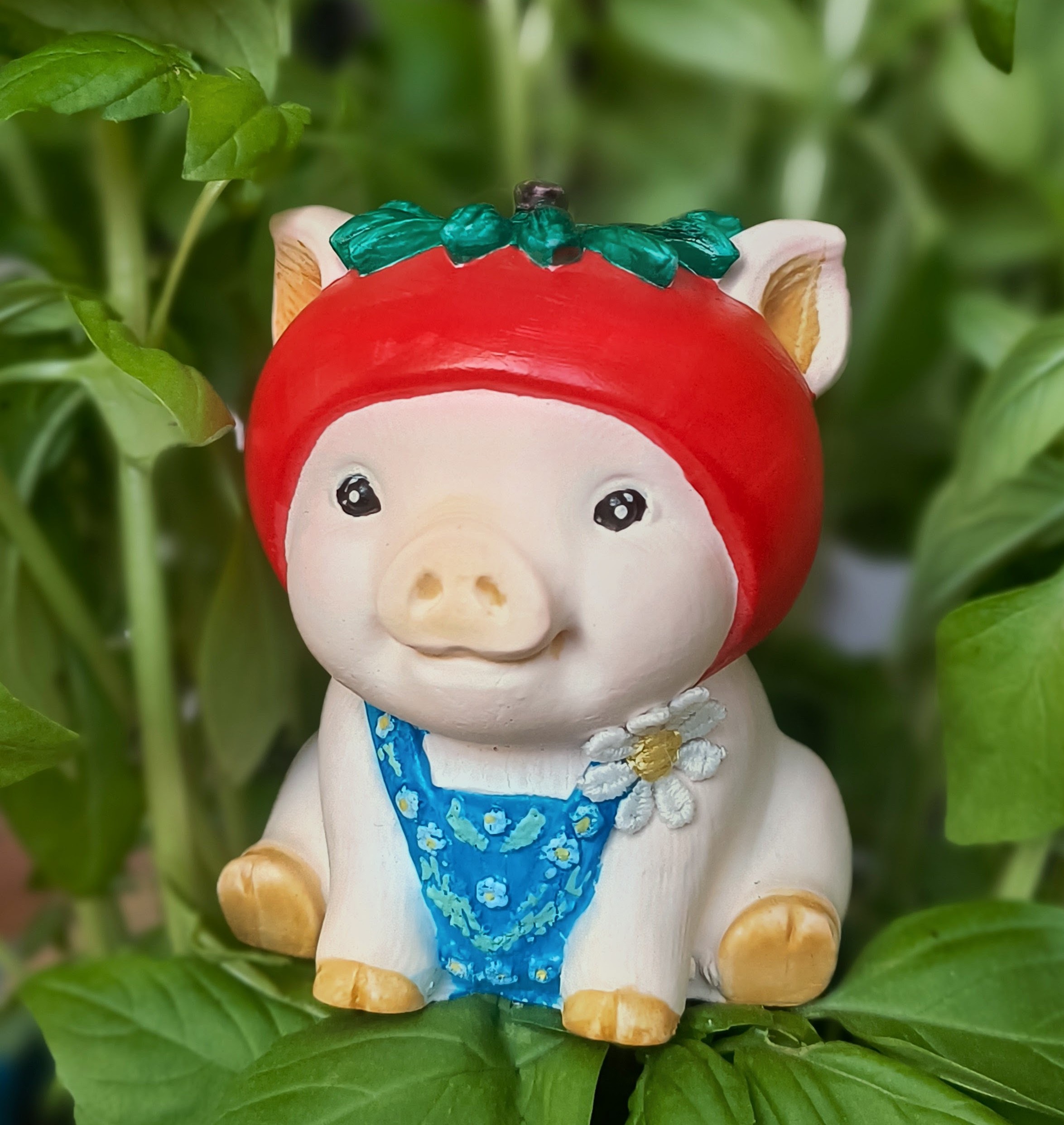 Glücksschwein Tomate